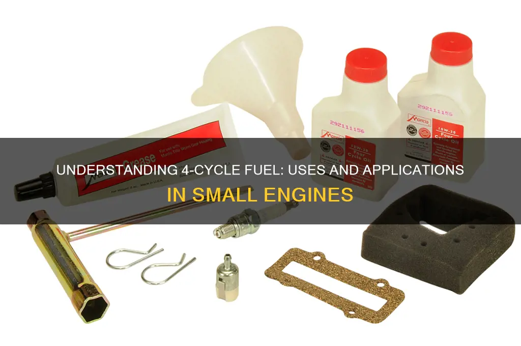 what is 4 cycle fuel used for