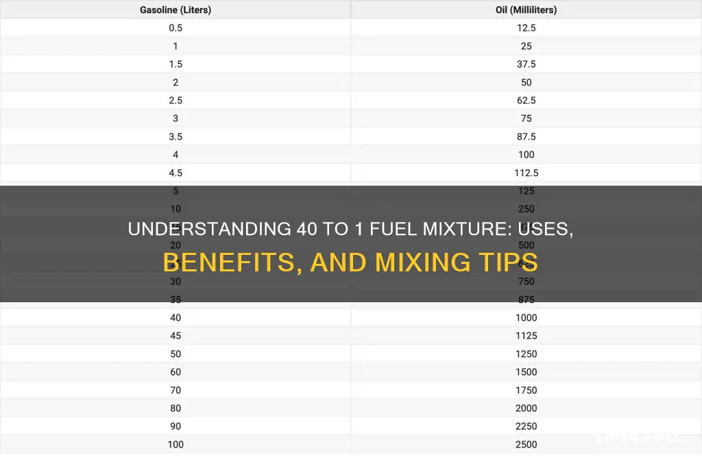 what is 40 1 fuel