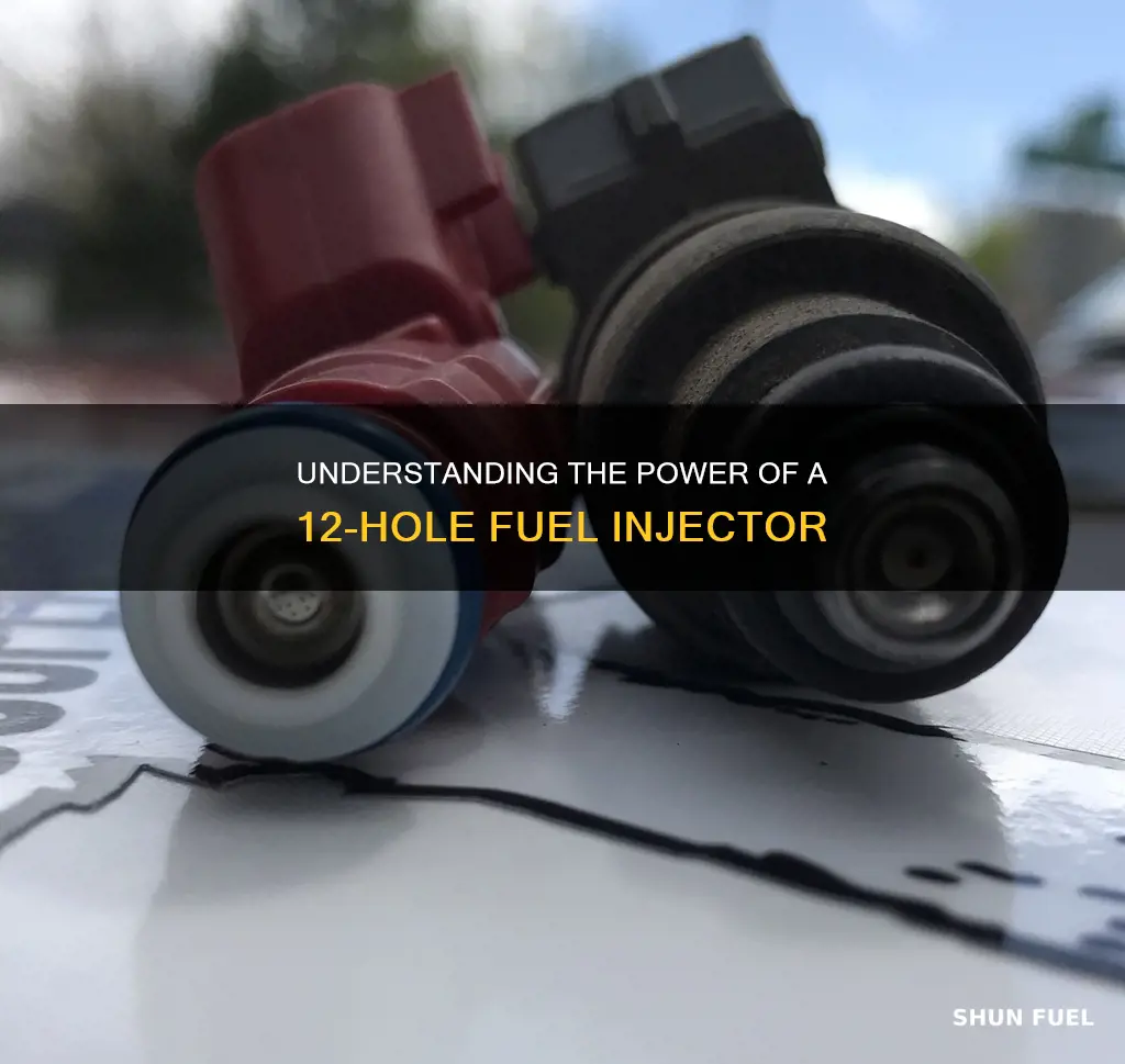 what is a 12 hole fuel injector