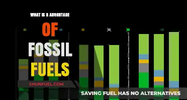 Fossil Fuels: Unlocking Energy Reliability and Economic Growth Advantages