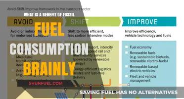 Fossil Fuel Consumption: Uncovering Its Surprising Benefits and Impacts