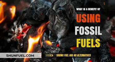 Fossil Fuels: Reliable Energy Source with Significant Economic Advantages