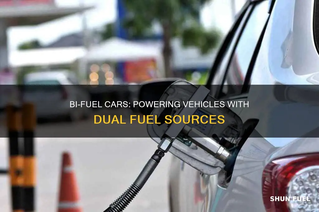 what is a bi fuel car