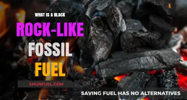 Unveiling the Mystery of Black Rock-Like Fossil Fuel: Coal Explained