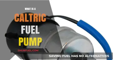 Understanding the Caltric Fuel Pump: Function, Benefits, and Applications