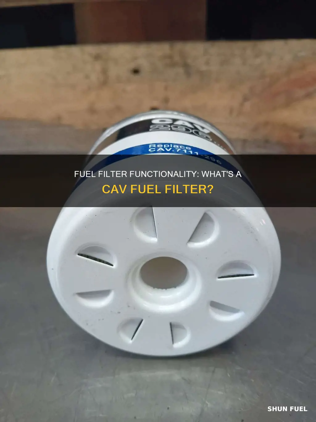 what is a cav fuel filter