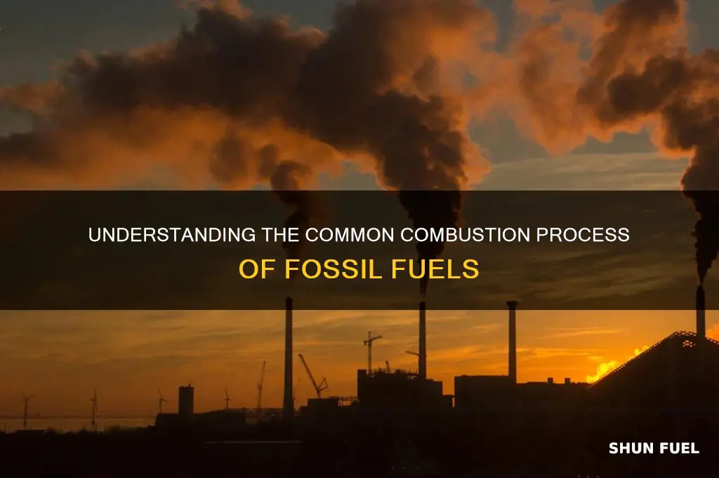 what is a common combustion of fossil fuels