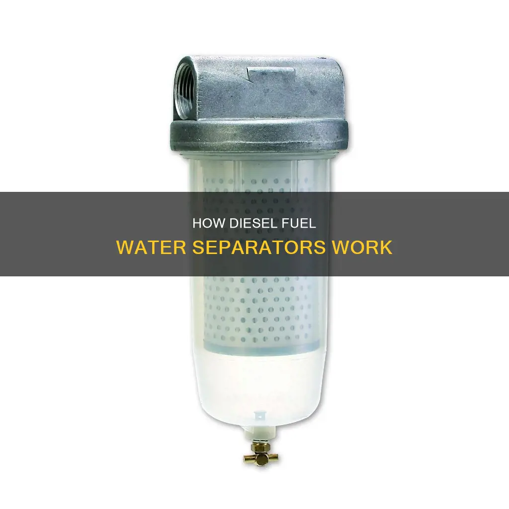 what is a diesel fuel water separator