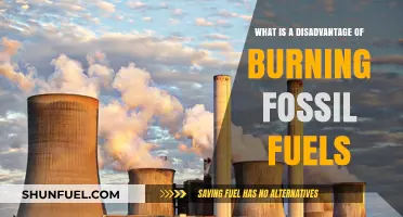 Burning Fossil Fuels: A Major Environmental and Health Hazard