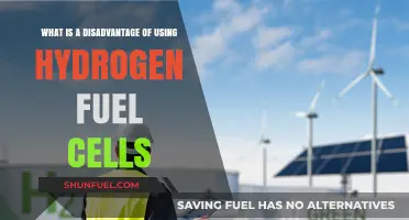Hydrogen Fuel Cells: A Costly and Infrastructure-Limited Energy Solution