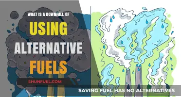 The Hidden Costs of Alternative Fuels: A Critical Analysis