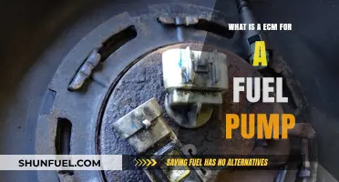 Understanding the Role of an ECM in Fuel Pump Operation