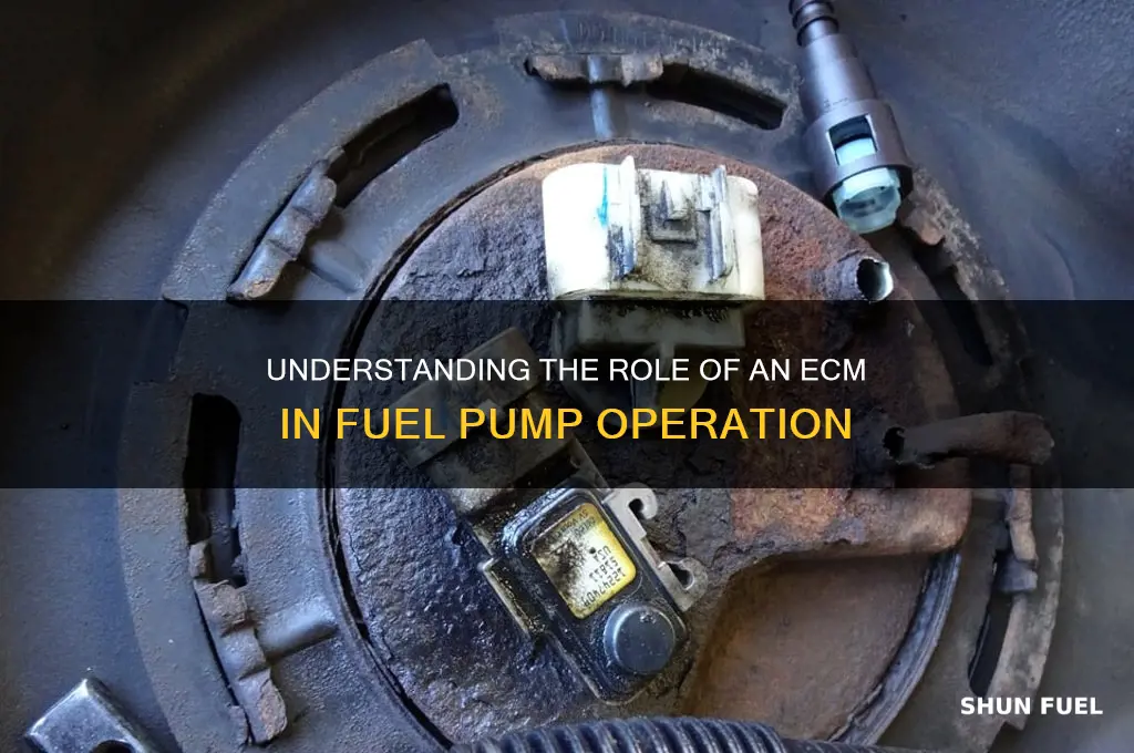 what is a ecm for a fuel pump