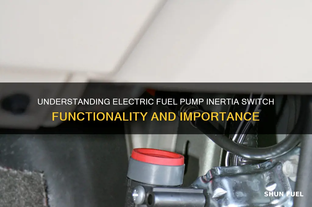 what is a electric fuel pump inertia switch