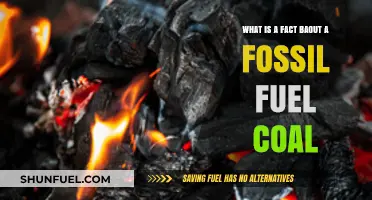 Understanding Coal: A Key Fossil Fuel and Its Impact