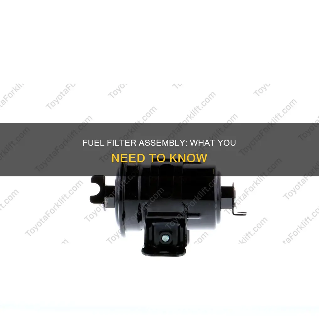 what is a filter assy-fuel