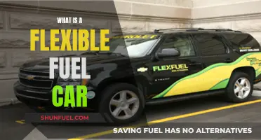 The Evolution of Cars: Flex-Fuel Vehicles Explained