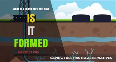 Understanding Fossil Fuels: Formation, Types, and Environmental Impact Explained