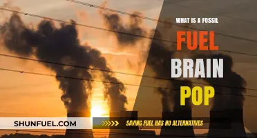 Understanding Fossil Fuels: A Brain Pop Guide to Energy Sources