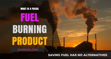 Understanding Fossil Fuel Combustion: Products and Environmental Impact