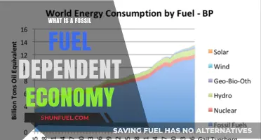 Understanding the Impact of Fossil Fuel Dependency on Economies