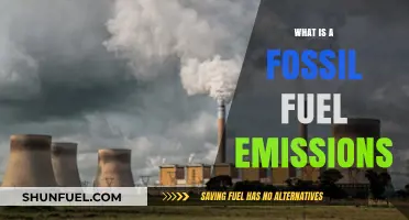 Understanding Fossil Fuel Emissions: Causes, Impacts, and Solutions