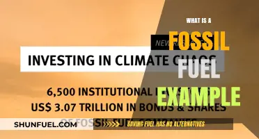 Fossil Fuel Fundamentals: Examples and Impacts