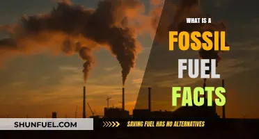 Understanding Fossil Fuels: Essential Facts and Environmental Impacts Explained