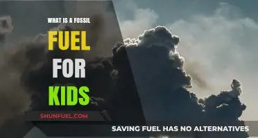 Discovering Fossil Fuels: A Simple Guide for Curious Kids