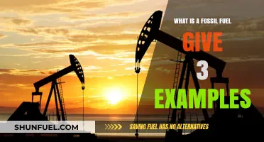 Understanding Fossil Fuels: Definition and 3 Key Examples Explained