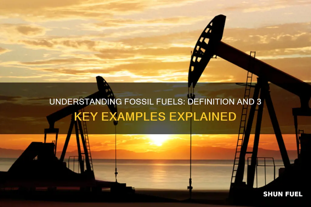 what is a fossil fuel give 3 examples