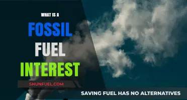 Understanding Fossil Fuel Interests: Profits, Politics, and Environmental Impact