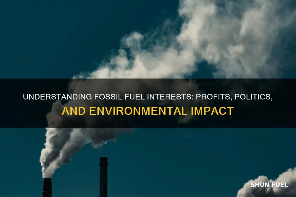 what is a fossil fuel interest
