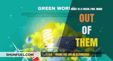Understanding Fossil Fuels: Composition, Formation, and Environmental Impact