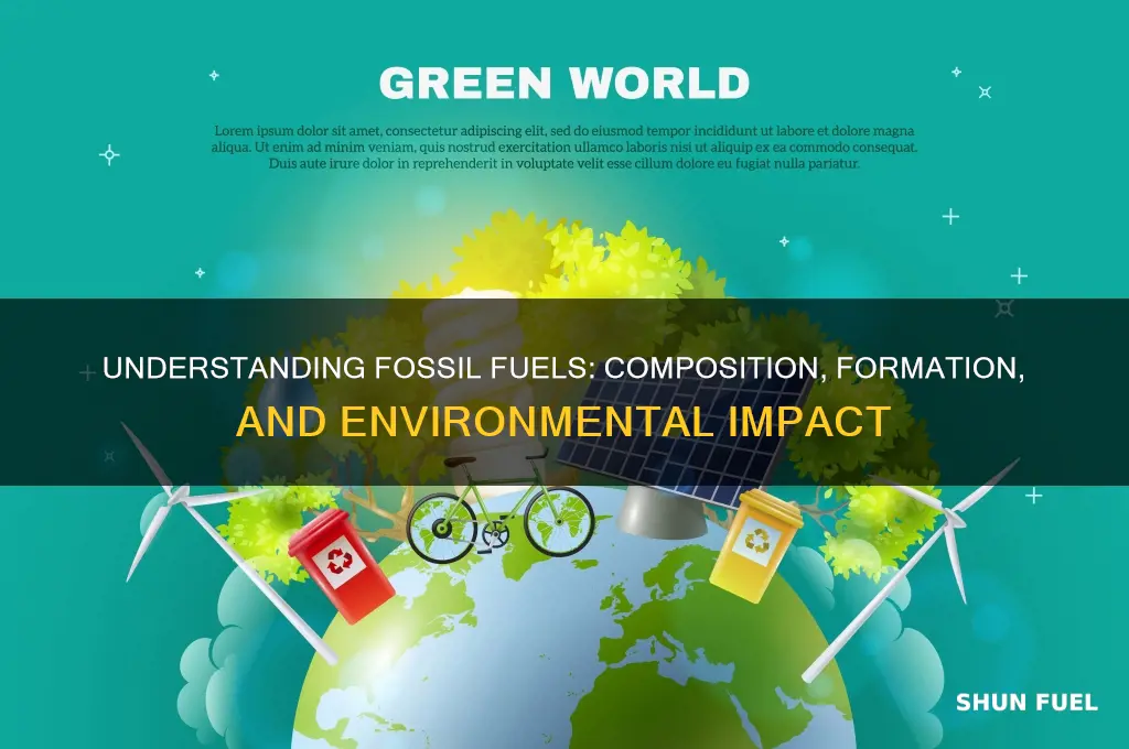 what is a fossil fuel made out of them