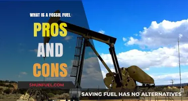 Fossil Fuels: Exploring the Pros, Cons, and Environmental Impact