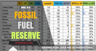 Understanding Fossil Fuel Reserves: Definition, Importance, and Global Impact