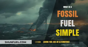 Understanding Fossil Fuels: A Simple Guide to Their Basics and Impact