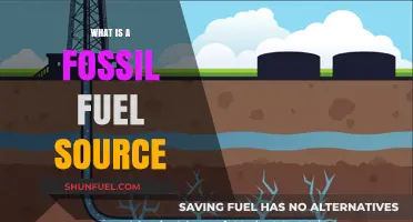 Understanding Fossil Fuels: Origins, Types, and Environmental Impact Explained