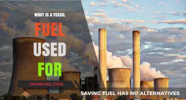 Exploring Fossil Fuels: Uses, Importance, and Environmental Impact