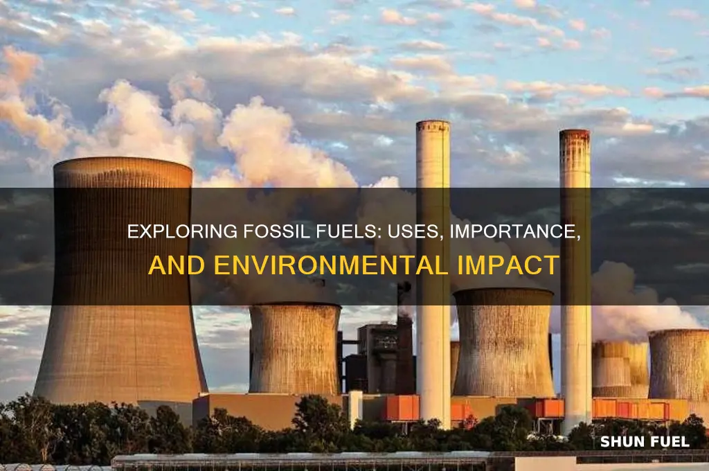 what is a fossil fuel used for