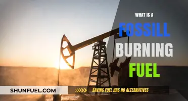 Understanding Fossil Fuels: Origins, Uses, and Environmental Impact Explained