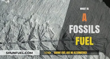 Understanding Fossil Fuels: Origins, Uses, and Environmental Impact Explained