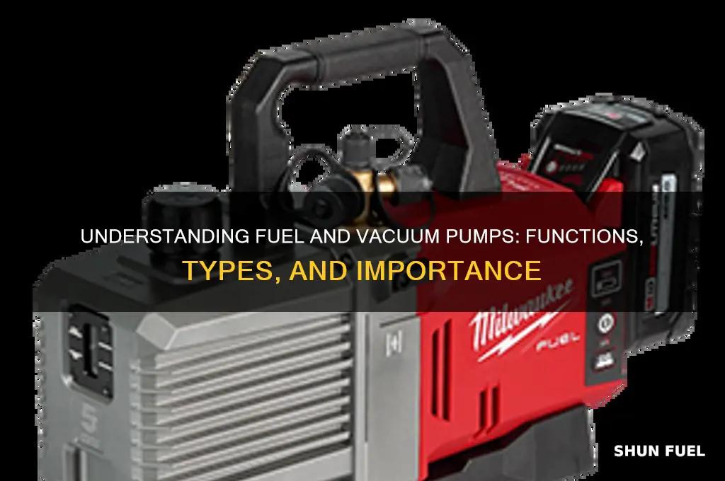 what is a fuel and vacuum pump