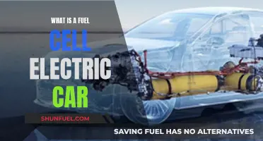 Fuel Cell Electric Cars: How Do They Work?