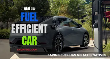 Understanding Fuel Efficiency: A Guide to Eco-Friendly Driving