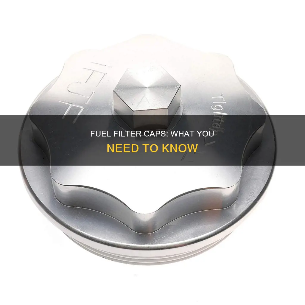 what is a fuel filter cap