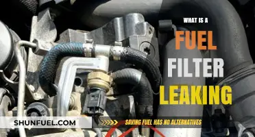 Fuel Filter Leaks: What You Need to Know