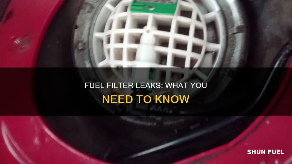 what is a fuel filter leaking