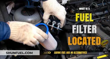 Where is the Fuel Filter Located?